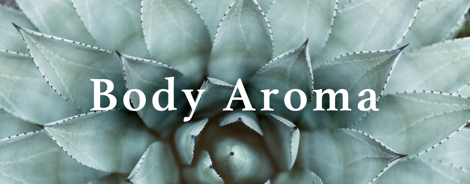 Body Aroma